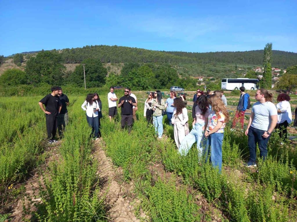 250520_Rigani_Likno_of_herbs_Thesprotiko_b