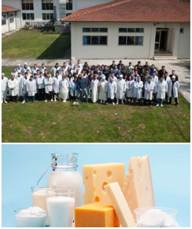 milk school